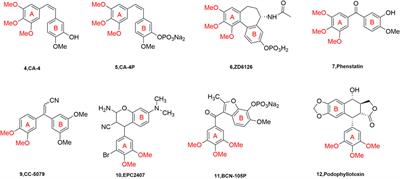 Advances in antitumor research of CA-4 analogs carrying quinoline scaffold